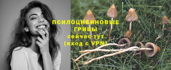 a pvp Беломорск