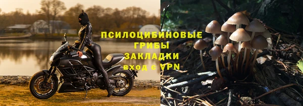 a pvp Беломорск